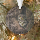 Search for birds nest christmas tree decorations Forest