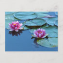 Search for pond photography Floral