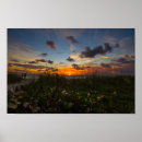 Search for jetty posters Sunrise