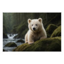 Search for bear cub art Bears