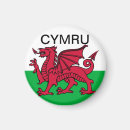 Search for cymru magnets Red dragon