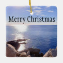 Search for east coast christmas tree decorations New england