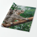 Search for carry gift wrap Animal