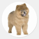 Search for chow stickers Puppy
