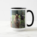 Search for horse pictures mugs Nature