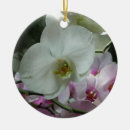 Search for orchid christmas tree decorations White