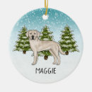 Search for lab christmas tree decorations Snow