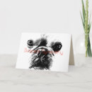 Search for french” sympathy cards Dogs