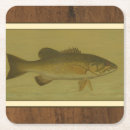 Search for bass coasters Fish