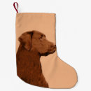 Search for chocolate lab christmas stockings Dog