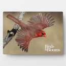 Search for cardinal plaques Red bird