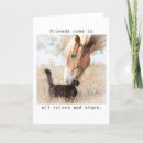 Search for sizes cards White