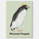 Search for extinction magnets Nature