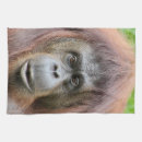 Search for ape kitchen dining Fun