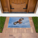 Search for kite home living Wildlife