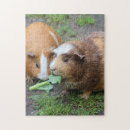 Search for pig puzzles Animal
