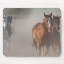 Search for on the move mousepads Moving