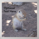 Search for prayed photography Animal