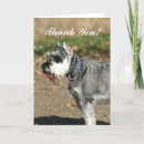 Search for schnauzer cards Dogs