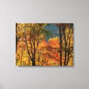 Search for miller canvas prints Foliage