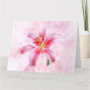 Search for red lily thank you cards Pink