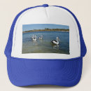 Search for pelican hats Bird