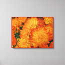 Search for chrysanthemum art Bloom