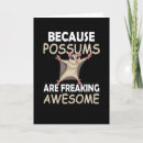 Search for funny opossum cards Possums