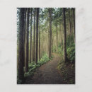 Search for parkland postcards Woodland