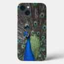 Search for peacocks ipad cases Feathers