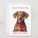 Search for happy mothers day from dog Dachshund