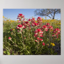 Search for larry ditto posters County