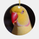 Search for parakeet christmas tree decorations Parrot