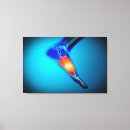 Search for limbs posters Side view