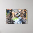 Search for spars posters Animal