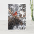 Search for antler christmas cards Winter