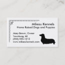 Search for dachsund Longhaired