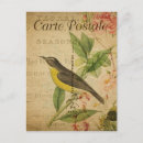 Search for vintage bird postcards Animal