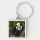 Search for oxford key rings Shaanxi province