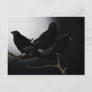 Search for moon light postcards Spooky