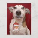 Search for jack russell dog cards Canine