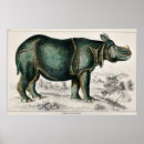 Search for rhinoceros paintings posters Vintage