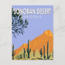 Search for sonoran postcards Saguaro national park