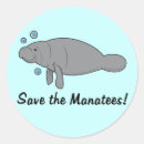 Search for manatee labels Marine