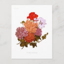 Search for ivy Gardening