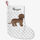 Search for brown dog christmas stockings Cute