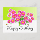 Search for asters cards Daisy