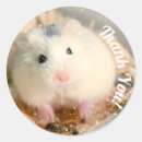 Search for special thanks stickers Cute