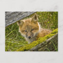 Search for shoulders postcards Nature