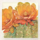 Search for orange coasters Watercolor